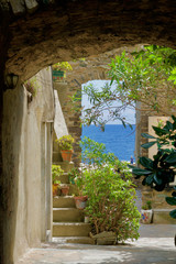 Terrace with green plants and sea view