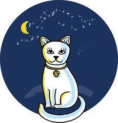 White cat at night, the moon