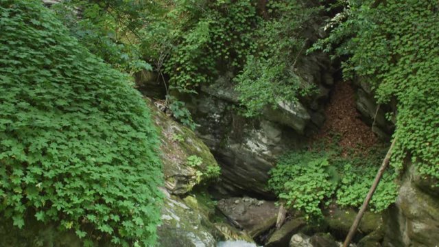 Mountain forest waterfall