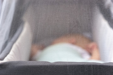 mosquito net or flyscreen over a pram or stroller