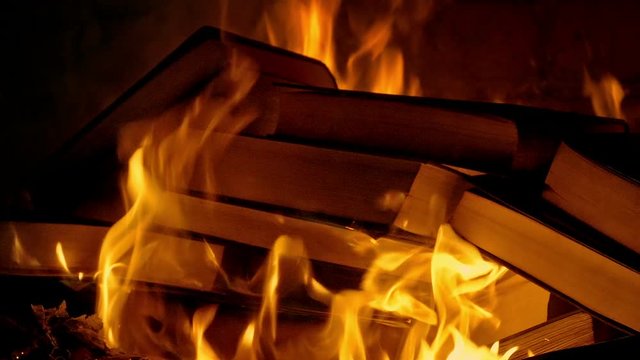 Book Burning - Censorship Concept 3
