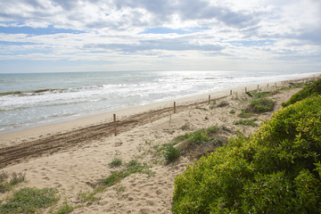 Fototapeta na wymiar Coastline with dune
