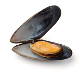 Keuken foto achterwand Single boiled mussel © Coprid