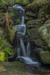 Fototapeta na wymiar Miluscin waterfall on Bily creek in summer nice morning