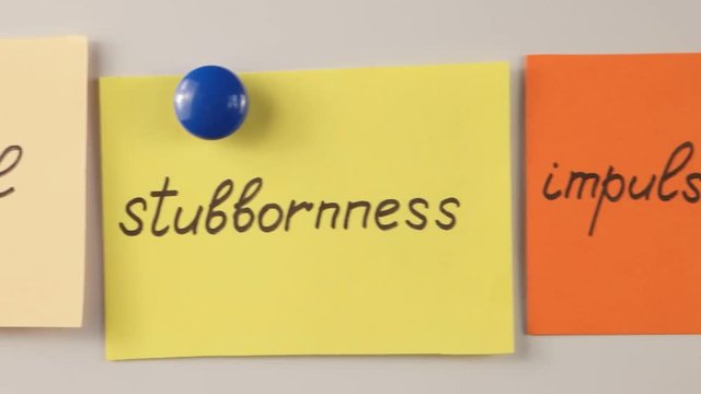 Words characterizing the teen behavioral problem, presentation