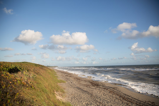 View of an empty beach.