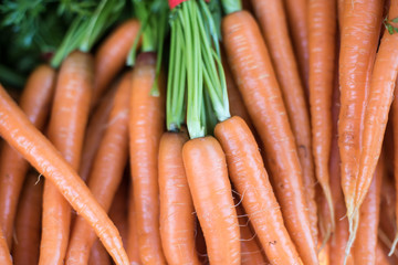 carrots on the market