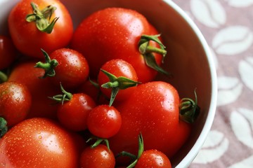 frische tomaten in schale III