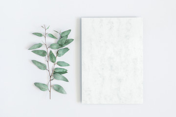 Marble paper blank, eucalyptus branches on pastel gray background. Flat lay, top view, copy space