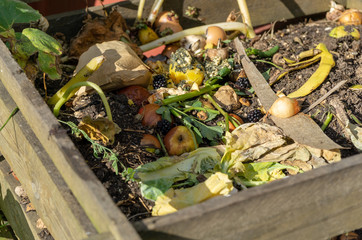 biological rubbish at a compost in the garden