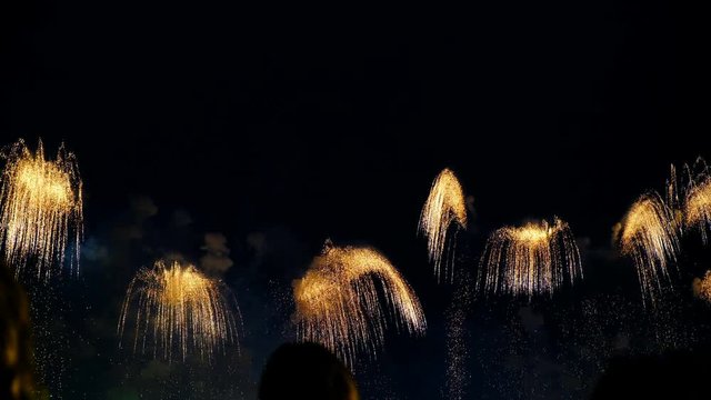 People watching fireworks and take pictures on the phone, a colorful fireworks in honor of the holiday