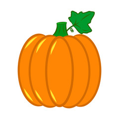 Vector Autumn Fall Pumpkin Icon