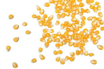 Yellow grain corn isolated on white background, for popcorn, top view
