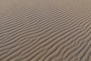 Pattern of sand surface waved by wind and nature