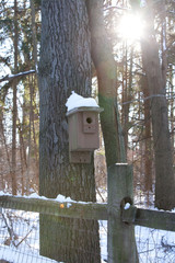 bird house in winter
