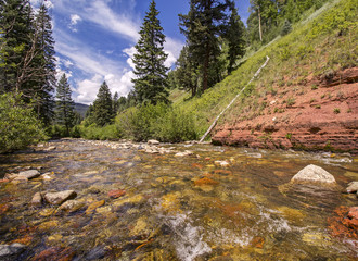 Crystal clear alpine trout stream near Telluride, Colorado.