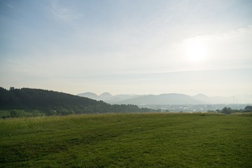 Grass on the meadow. Slovakia