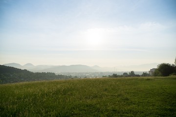 Fototapeta na wymiar Grass on the meadow. Slovakia