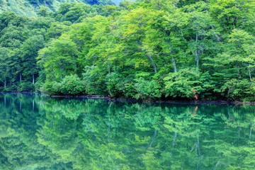 夏の鎌池