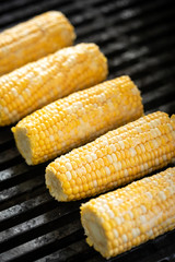 Yellow corn on the cob grilling on a barbecue