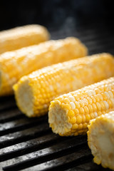 Yellow corn on the cob cooking on a barbecue