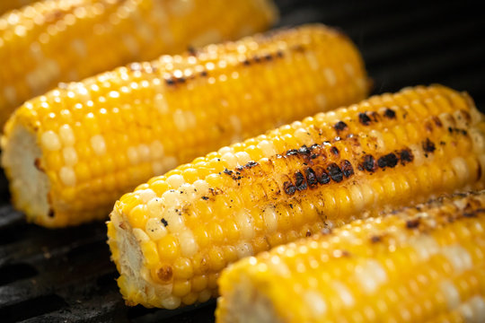 Side view of corn on the cob roasting on a barbecue