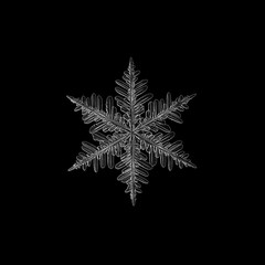 Snowflake isolated on black background. Macro photo of real snow crystal: large stellar dendrite...