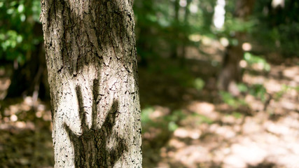 Handschatten am Baum 