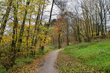 Fototapeta premium Beautiful colorful fall landscape.