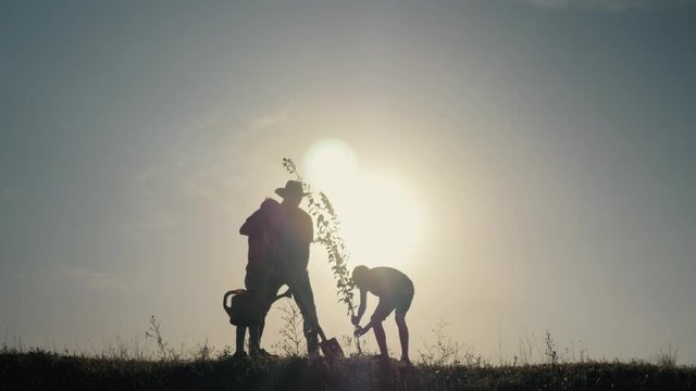 A happy family. Father and two sons plant and water the tree in the park at sunset. The concept of a happy family