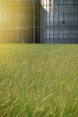 A Green Field Full of Grass and Metal Buildings in the Background
