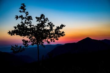 Fototapeta na wymiar Enjoying the sunset colouring the sky, viewing a far away mountain, while sitting under a pine tree