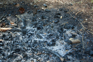 Heap of ash after the fire