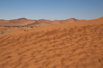 Fototapeta na wymiar Dunes de Sable à Sossusvlei Namib-Naukluft National Park Namibia
