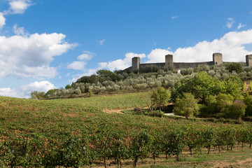 Fototapeta na wymiar View of ancient fortress of Monteriggioni, Tuscany. Italy