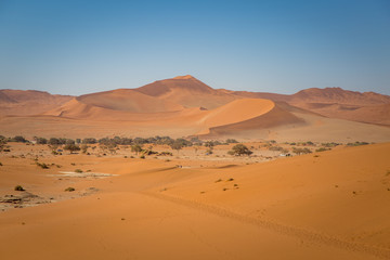 Fototapeta na wymiar Dunes de Sable à Sossusvlei Namib-Naukluft National Park Namibia
