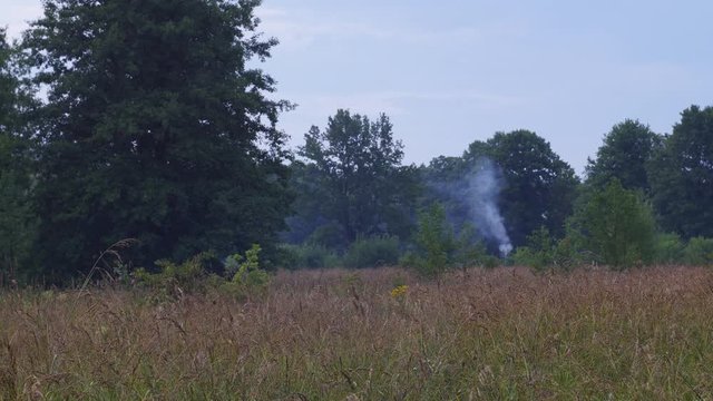 Smoke from fire in the wild fild at the evening