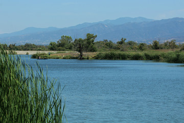 Fototapeta na wymiar Prado Regional Park, Chino Hills, San Bernardino County, California