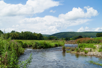 Landscape Mountain Stream Running Down Through Meadow