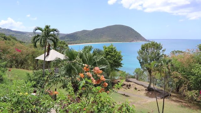 Guadeloupe, Deshaies, la plage de la grande anse