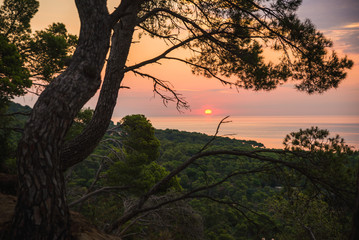 Fototapety na wymiar - Fototapeta24.pl