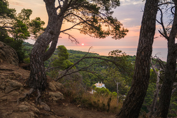Fototapety na wymiar - Fototapeta24.pl