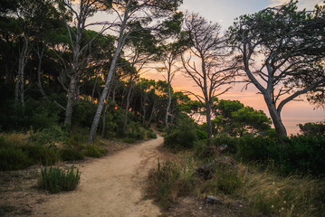 Fototapety na wymiar - Fototapeta24.pl