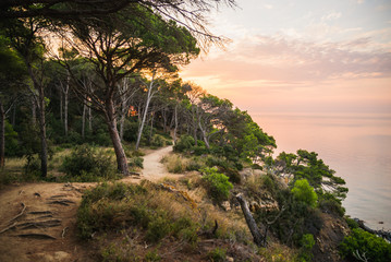 Fototapety na wymiar - Fototapeta24.pl