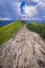 Fototapeta premium Landscape in Bieszczady National Park, Subcarpathian Voivodeship of Poland, view from Osadzki Wierch mountain