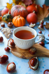 Cozy autumn morning with cup of tea, decorative pumpkins, nuts, corns, chestnuts and autumn leaves on light blue background, teatime, hugge concept, selective focus