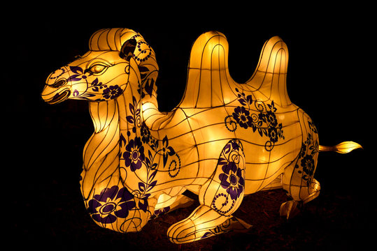 Bactrian camel lantern