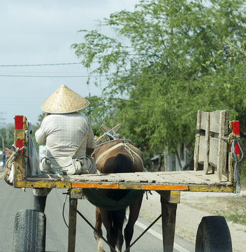 cochero