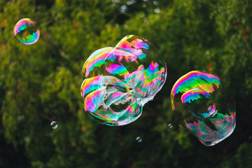 soap bubbles abstract shape, green background