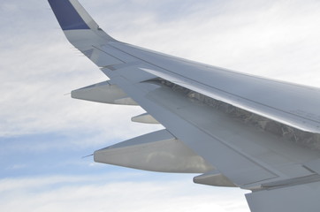 Obraz premium Plane Wing